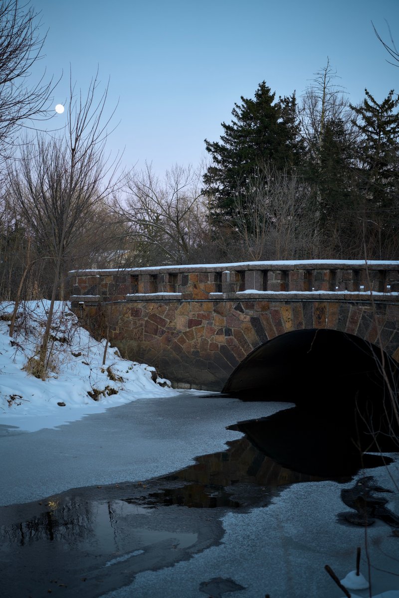 A7C04140.jpg