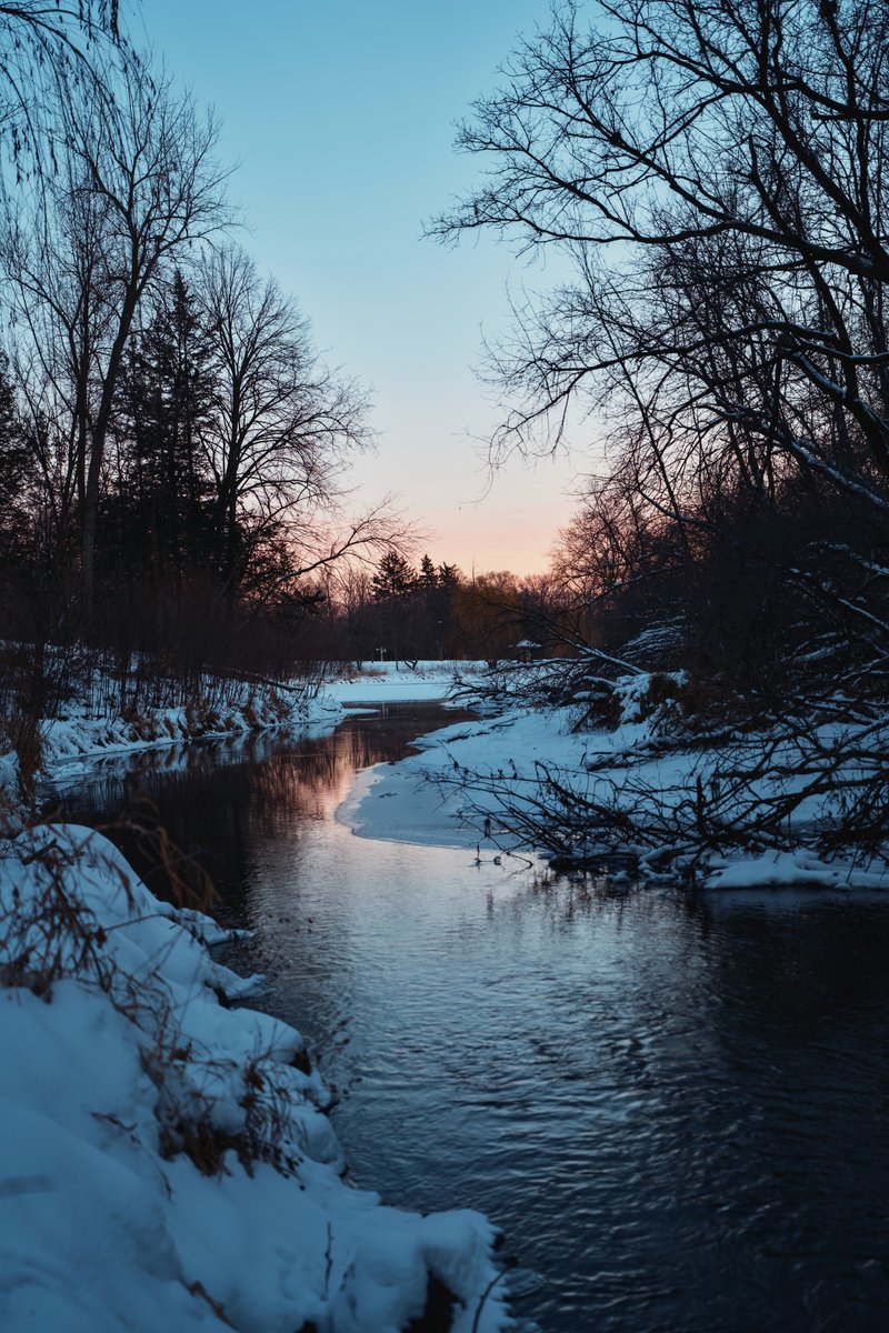 A7C04133.jpg