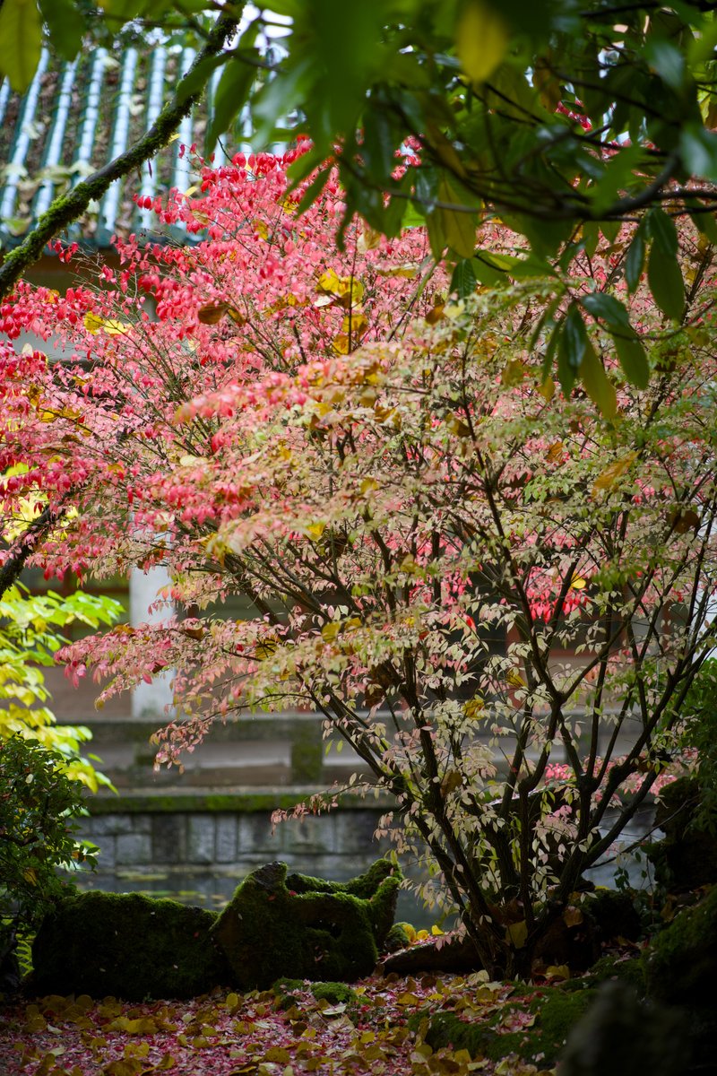 A7C02118.jpg